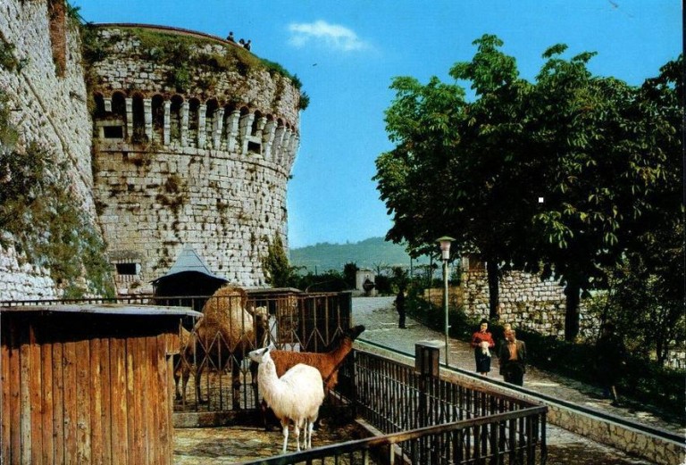 Giardino Zoologico – Castello di Brescia