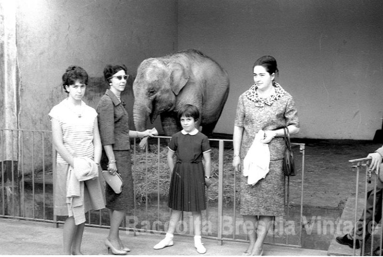 Gita domenicale allo zoo del Castello con mamma e zia, Brescia anni ’60