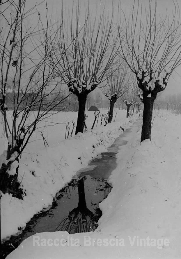 Nelle vicinanze di S.Eufemia – Inverno anni 50