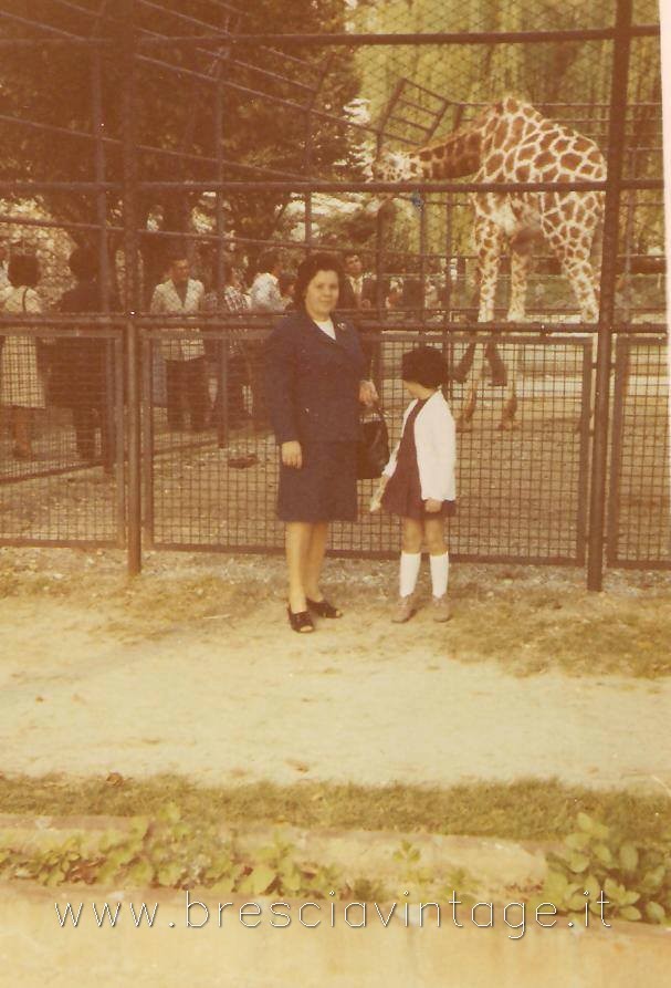 Zoo di Brescia – La giraffa (anni ’70)