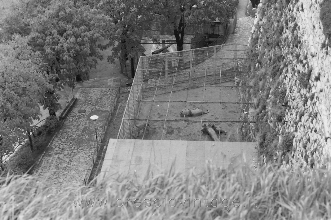 Nel 1977 c'erano ancora gli animali nello zoo del castello