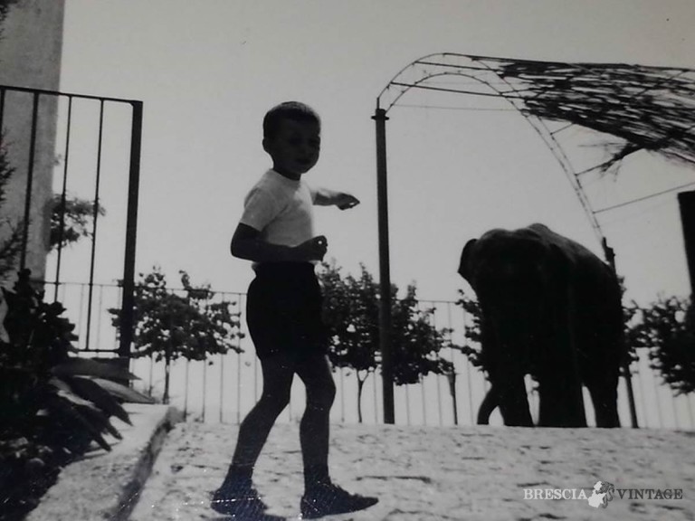 “Quando a Brescia c’erano gli elefanti” – 1970